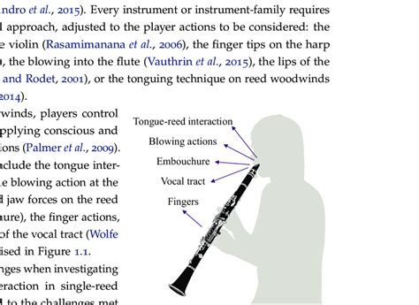 1 Components Of The Playerinstrument Interaction In Single Reed