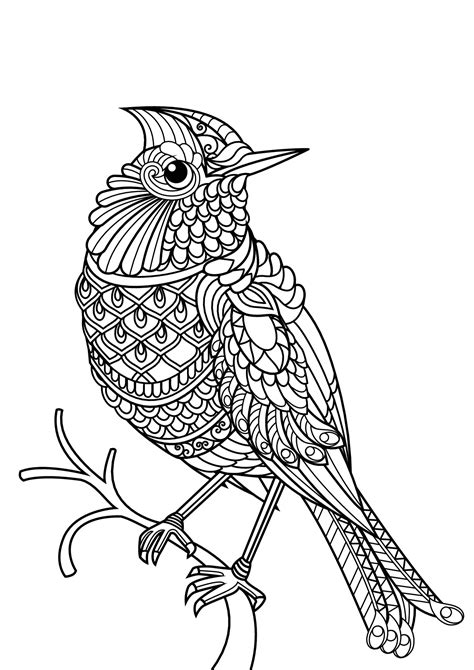 10 Beautiful Birds Printable Coloring Pages Coloring Sheets For Adults