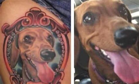 10 Best Dachshund Tattoos That You Ll Love Pet Reader