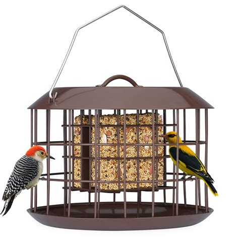 10 Best Parakeet Bird Feeders Top Picks Hummingbirds Plus