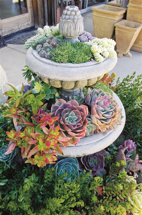 10 Creative Ways To Make An Enchanting Succulent Garden In Your Backyard Talkdecor