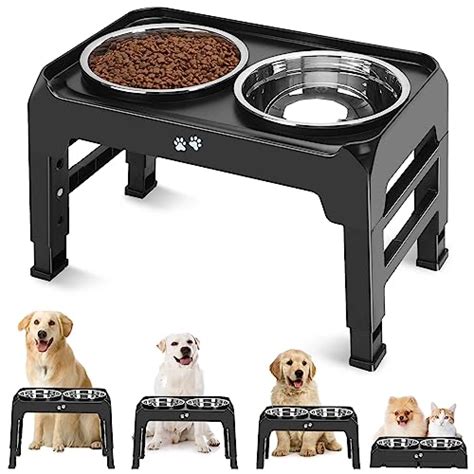 10 Elevated Dog Food Bowls Your Furry Friend Will Love And Why You Need One Furry Folly