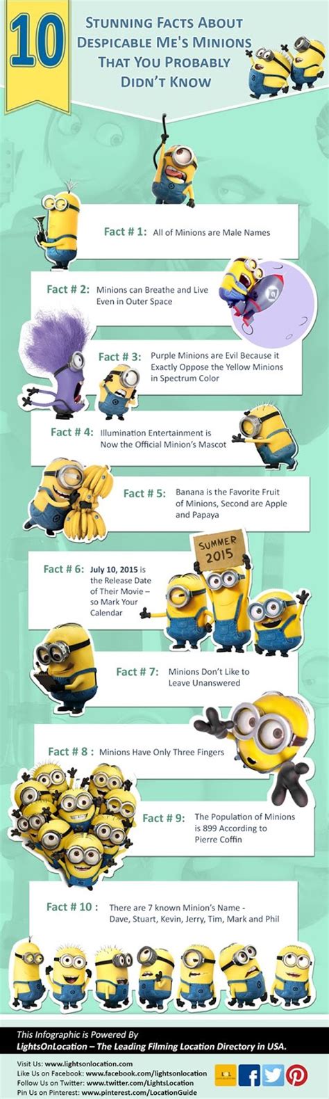 10 Surprising Facts About Despicable Me S Minions Movie Infographic