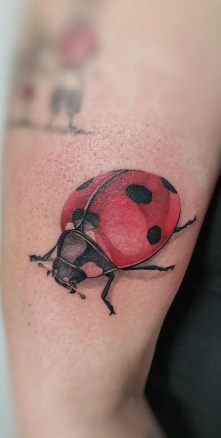 100 Ladybug Tattoos A Symbol Of Luck Beauty Tattoo Me Now