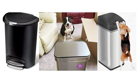 11 Best Dog Proof Trash Cans 2023 Reviews