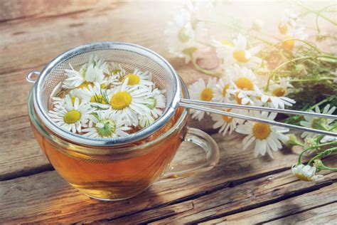 15 Chamomile Tea Benefits Side Effects Recipes Recipes Net