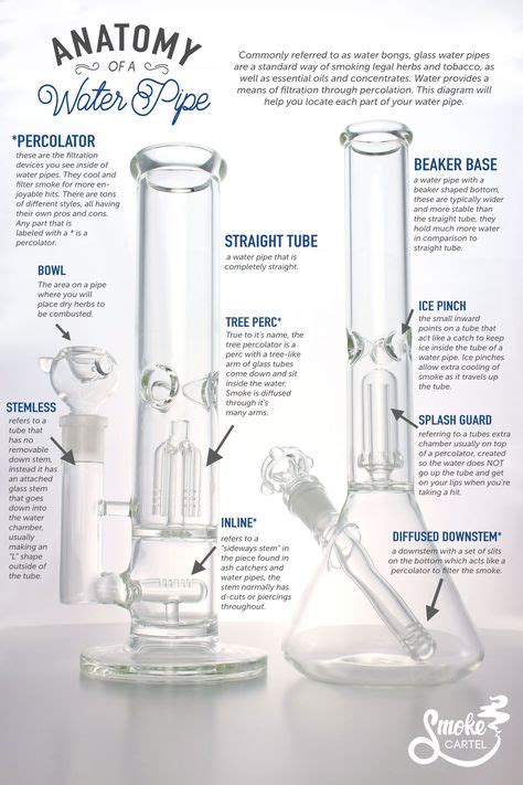 16 How To Clean A Bong Ideas In 2021 Bongs Cool Bongs Pipes And Bongs