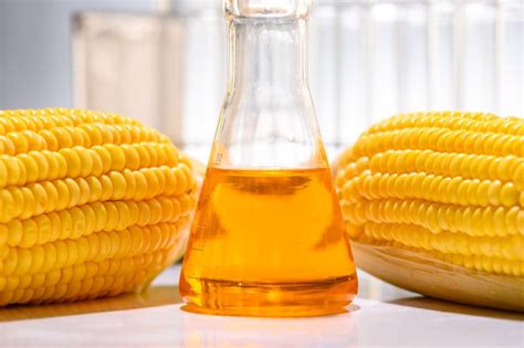 16 Important Pros And Cons Of Biofuels To Know