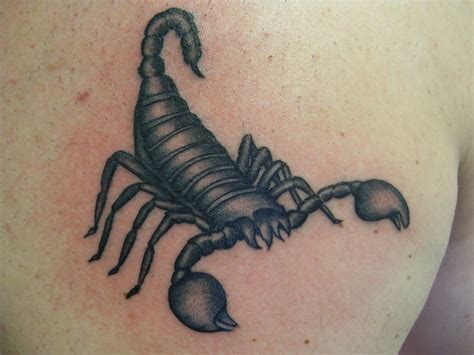 16 Scorpion Tattoo Designs Design Trends Premium Psd Vector Downloads