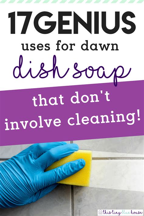 17 Genius Dawn Dish Soap Hacks You Need To Know About Artofit