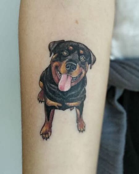 18 Rottweiler Tattoo Designs You Amp 39 Ll Love Page 2 Of 5 The Dogman Rottweiler Tattoo