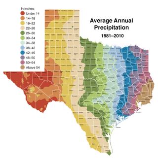 1981 2010 Average Annual Precipitation For Texas By Texasalmanac Map