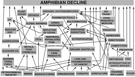 2 Simplified Diagram Of The Interaction Of Factors Influencing