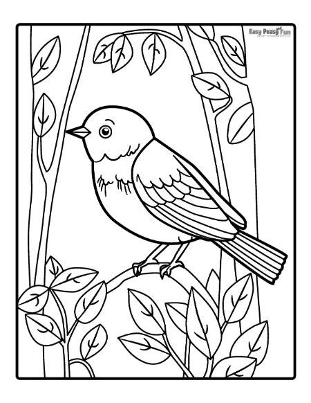 20 Attractive Birds Coloring Pages For Kids Of All Ages