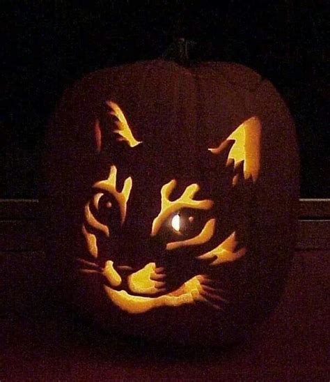 21 Incredible Cat Pumpkin Carvings Catster