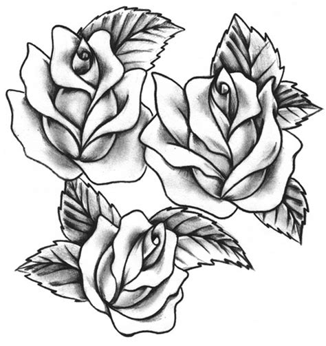 24 Rose Tattoo Designs Printable Ideas Rose Tattoo Design Rose Tattoo Tattoo Designs