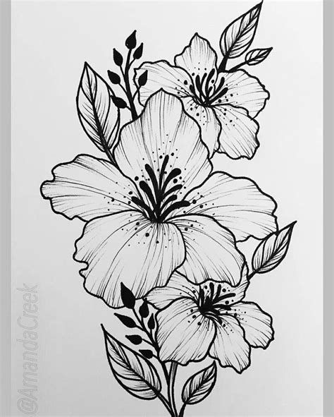 25 Beautiful Flower Drawing Ideas Inspiration Brighter Craft