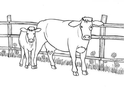 25 Free Cow Coloring Pages For Kids And Adults