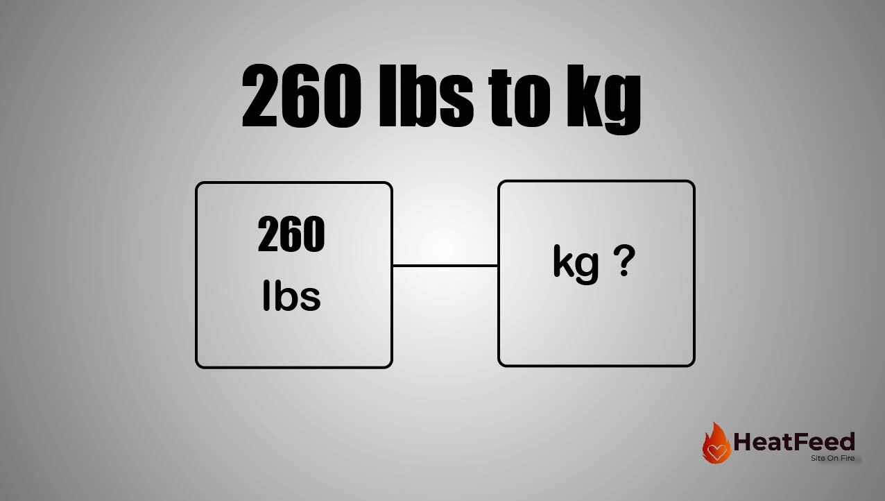 260 kg to Pounds Conversion Made Easy