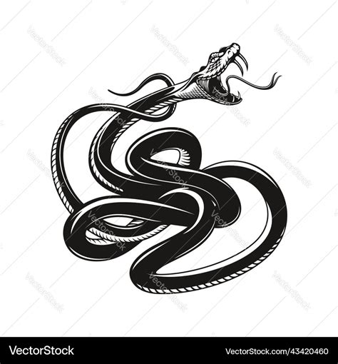 27 Rattlesnake Tattoo Designs Kentsribatsa