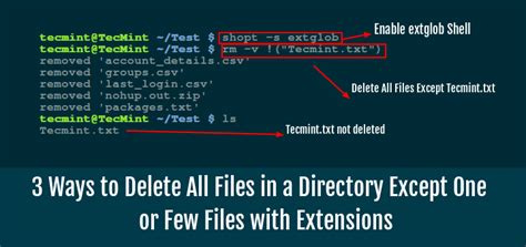 3 Ways To Delete All Files In A Directory Except One Or Few Files With Extensions