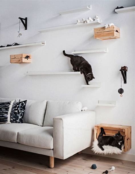 30 Easy Diy Cat Shelves Ideas That Will Wow Them In 2020 Cat Shelves