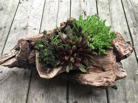 30 Top And Unique Diy Succulent Garden Design For Your Home Decoration