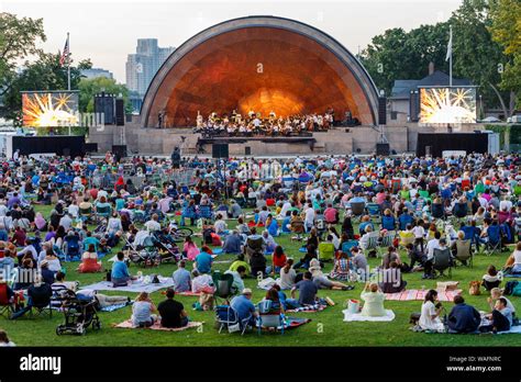 31 Boston Hatch Shell Images Stock Photos Vectors Shutterstock