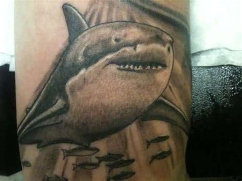 34 Besten Great White Tattoo Designs Bilder Auf Pinterest Hai Tattoos