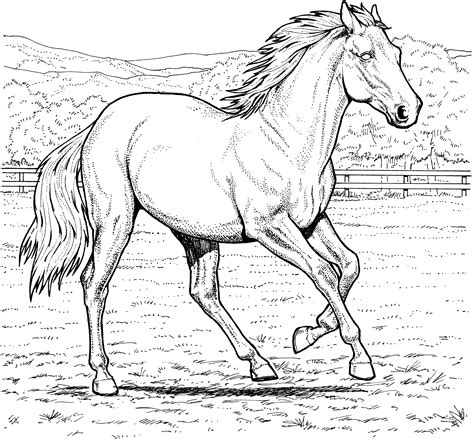 35 Free Horse Coloring Pages Printable