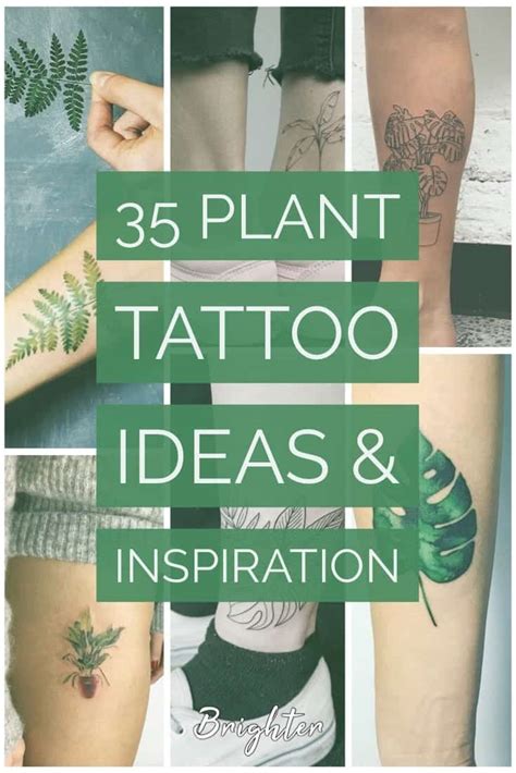 35 Plant Tattoo Ideas Inspiration Body Art Tattoo Plant Tattoo