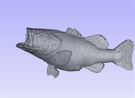 3D Stl File Of A Largemouth Bass For Cnc Etsy