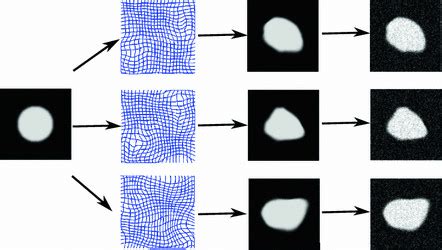 4 Simulating Synthetic 2D Data From The Generative Diffeomorphism