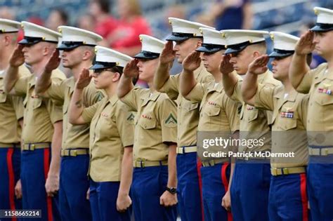 431 Us Marine At Attention Stock Photos High Res Pictures And Images Getty Images