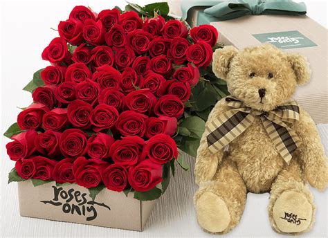 48 Red Roses Gift Box Teddy Bear Rose Gift Red Roses Red Rose Bouquet