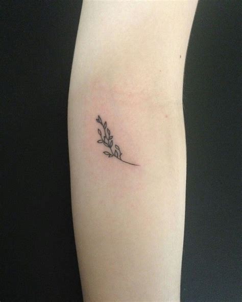 49 Beautiful Olive Branch Tattoo Designs And Meaning For 2021 Olive Branch Tattoo Trendy