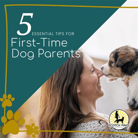 5 Essential Tips For First Time Dog Parents Nurturing A Lifelong Bond