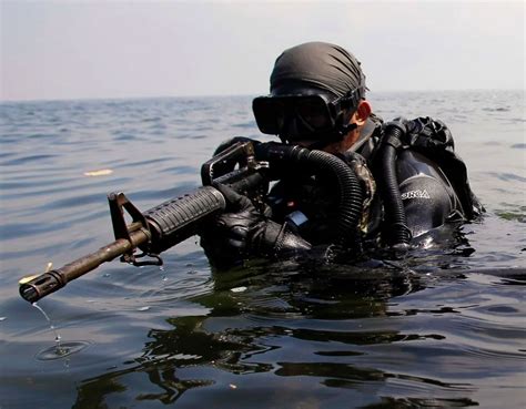 5 Facts About The Navy Seals Navyseal Com