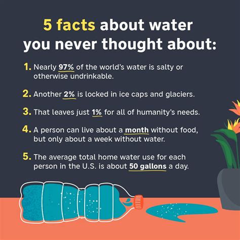 5 Facts About Water You Newer Though About Water Facts Fun Facts