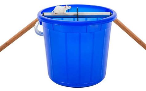 5 Gallon Bucket Mouse Trap Most Effective Live Rat Trap