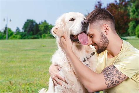 5 Meaningful Memorial Dog Tattoo Ideas Dog Training Nation