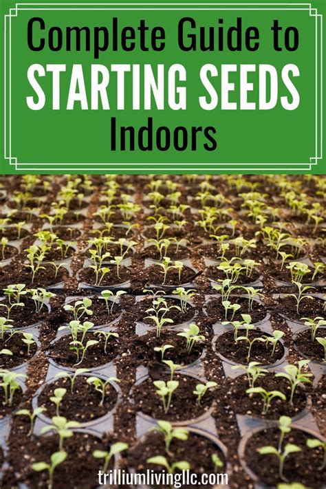 5 Must Have Essentials For Starting Seeds Indoors Complete Gardening