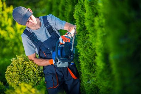 5 Surprising Reasons To Hire Landscape Contractors For Your Home Borsello Landscaping