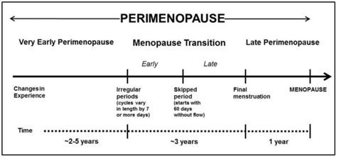 5 Things To Know About Perimenopause Abundancia Tribe