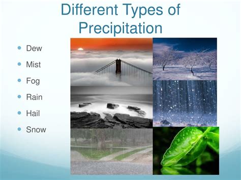 5 Types Of Precipitation