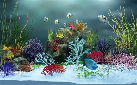 50 Best Aquarium Backgrounds Free Amp Premium Templates