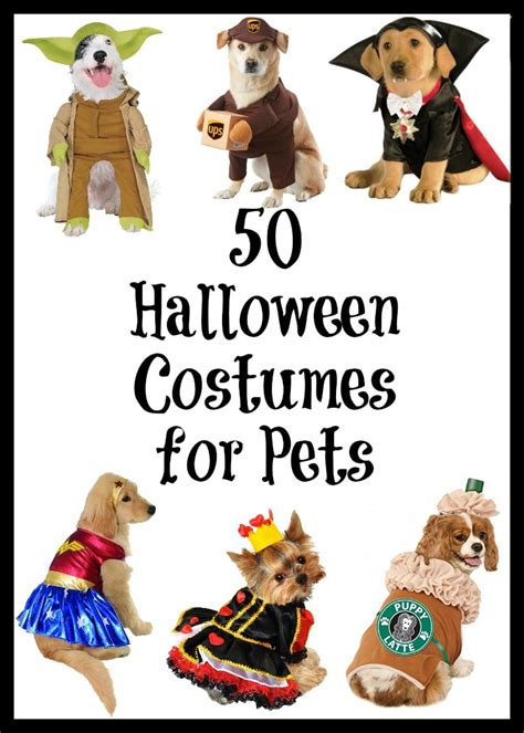 50 Of The Most Creative And Adorable Halloween Costumes For Pets Pet