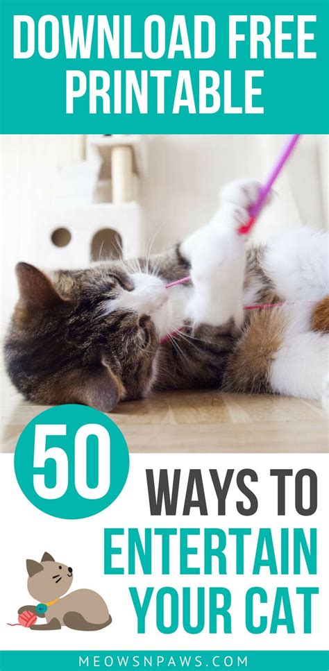 50 Ways To Entertain Your Cat Free Pdf Printable Meows Amp 39 N Amp 39 Paws