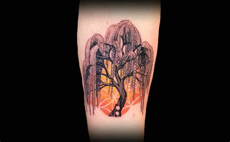 52 Meaningful Ideas Of Willow Tree Tattoos To Try Out This Year All About Tattoo