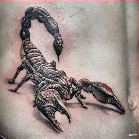 55 Best Scorpion Tattoos Design And Ideas With Their Accurate Meaning